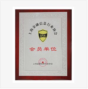 上海雪橙互联网金融信息服务 信息咨询服务的专业之选